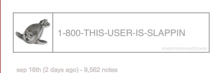 1 800 Are You Slappin — 1-800-THIS-USER-IS-SLAPPIN evenmoreuseroox sep 16th (2 days ago)-9,562 notes