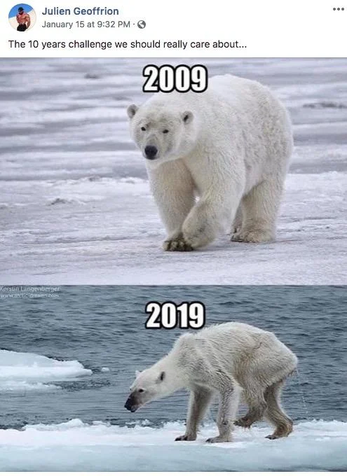 10 Year Challenge — Environmental adaptation comparing a polar bear's appearance in 2009 versus 2019 to illustrate climate change effects.