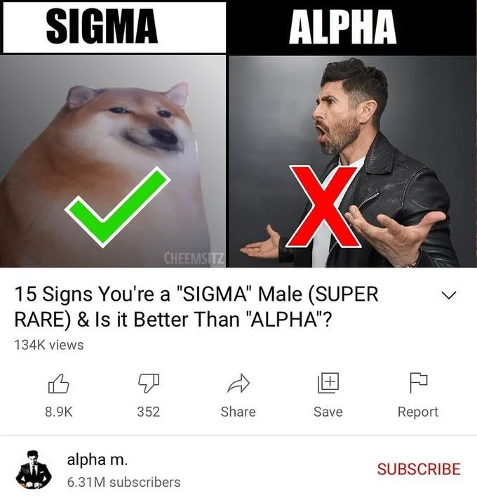 15 Signs Youre A Sigma Male — Cheems dog with green checkmark labeled SIGMA compared to alpha male stereotype with red X.