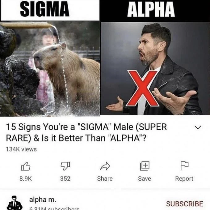 15 Signs Youre A Sigma Male — Hippopotamus or large animal with green checkmark labeled SIGMA compared to alpha with red X.
