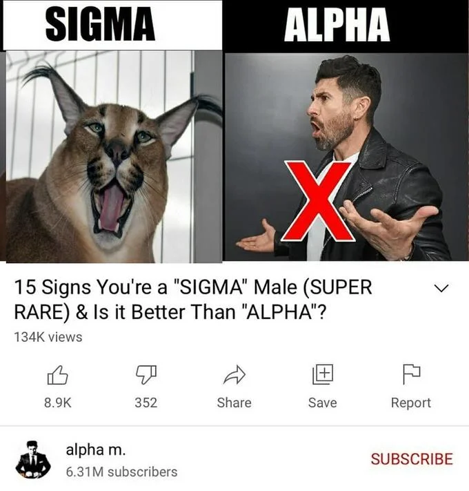 15 Signs Youre A Sigma Male — Laughing cat with open mouth and green checkmark labeled SIGMA compared to alpha with red X.