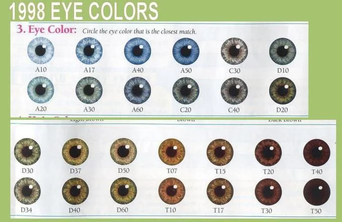 1998 Eye Chart — Clean presentation of the 1998 eye color chart with 20 color options displayed in circular samples, green header.