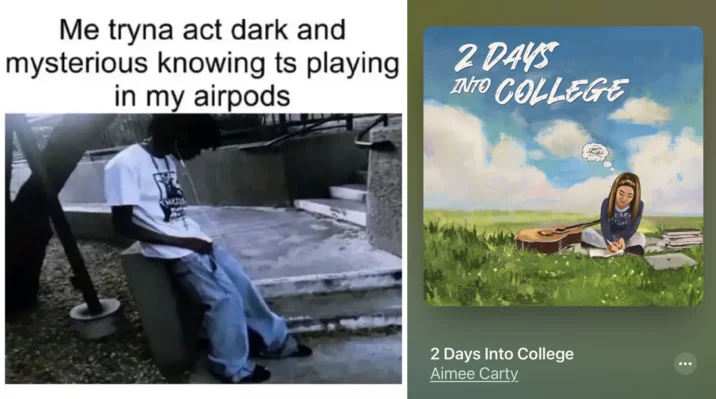 Meme combining a humorous photo with text overlay and the official '2 Days Into College' album artwork by Aimee Carty.