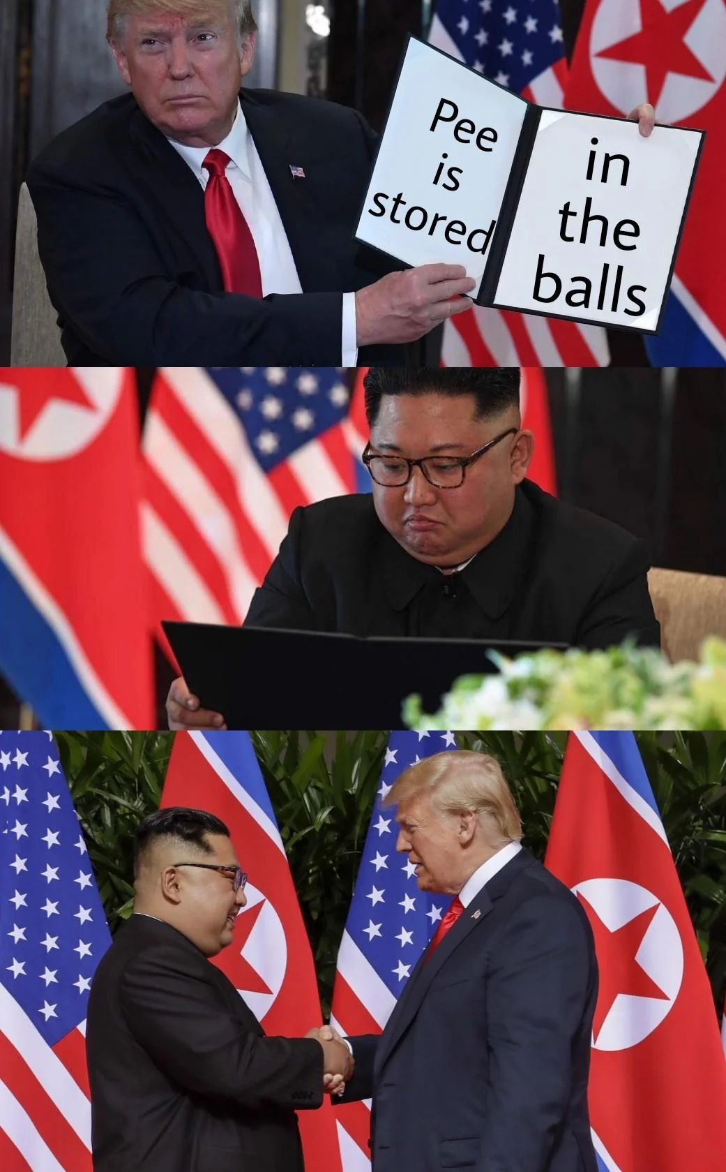 2018 North Korea United States Summit — Three-panel meme of Trump showing Kim Jong-un a document reading 'Pee is stored in the balls'