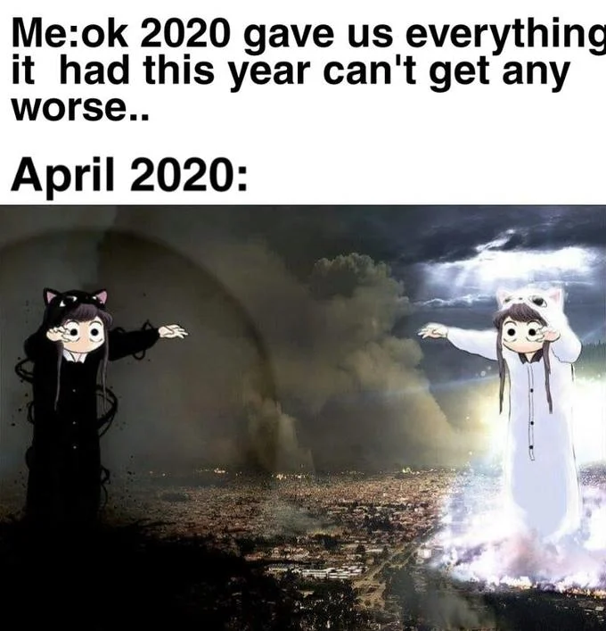 2020 Cant Get Any Worse — Meme featuring two cat-faced characters expressing relief, immediately contradicted by a massive tornado in the background.