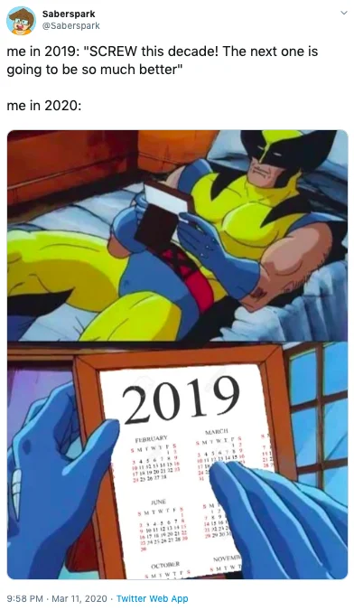 2020 Will Be Better — Twitter post contrasting 2019 optimism about the next decade with chaotic 2020 reality.