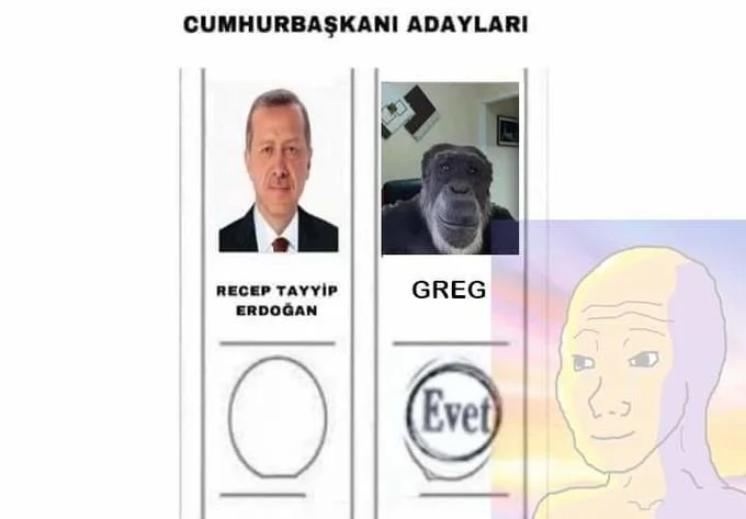 2023 Turkish Presidential Election Ballot — Ballot meme titled 'CUMHURBASKANI ADAYLARI' featuring Erdoğan on left and chimpanzee 'GREG' on right with Evet