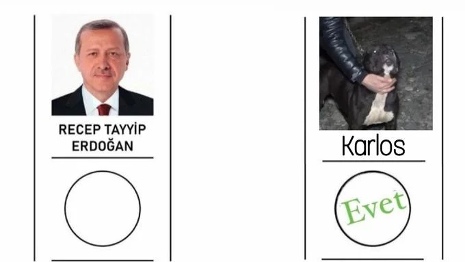 2023 Turkish Presidential Election Ballot — Ballot meme featuring Erdoğan on left and dog named 'Karlos' on right with Evet marked for the dog.