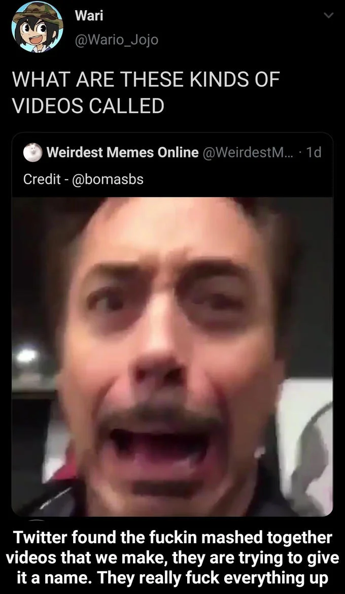 21St Century Humor — Twitter post from Wario asking about rapid-fire edited videos with explanation of chaotic montage creation.