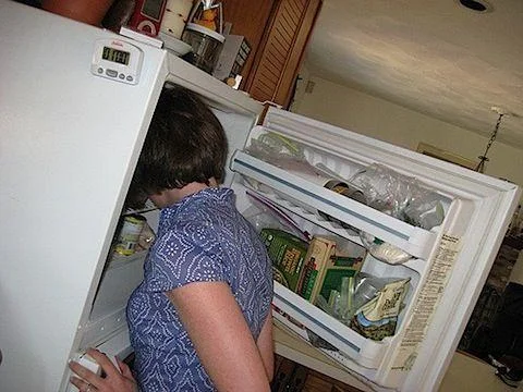 241543903 Heads In Freezers — Photograph capturing a person with head inserted into kitchen refrigerator freezer.