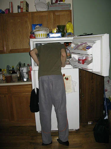241543903 Heads In Freezers — Photograph capturing an individual leaning into a refrigerator with head in freezer compartment.