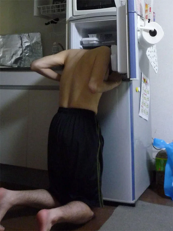 241543903 Heads In Freezers — Photograph capturing an individual with head positioned inside kitchen refrigerator freezer.