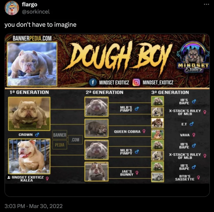2X Pimpy 3X Bape Pimpy Son Opp — flargo @sorkincel you don't have to imagine BANNERPEDIA.COM DOUGH BOY f MINDSET EXOTICZ 1ª GENERATION 2ª GENERATION MLB'S