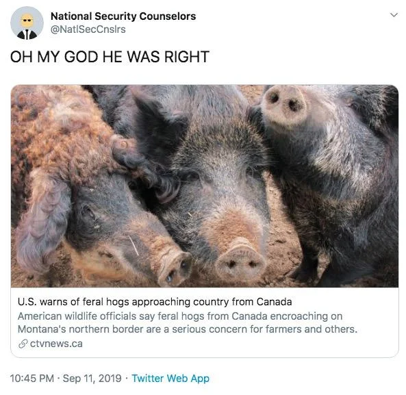 30-50 Feral Hogs — Feral hogs image with National Security Counselors tweet saying 'OH MY GOD HE WAS RIGHT' about warning.