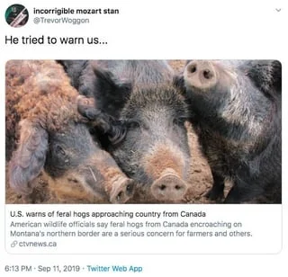 30-50 Feral Hogs — Feral hogs image with Twitter post stating 'He tried to warn us...' referencing the original warning.