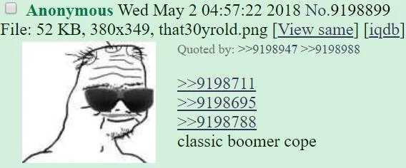 30 Year Old Boomer