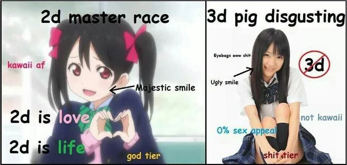 3Dpd — Comparison chart with '2d master race' anime girl versus '3d pig disgusting' real woman with annotations.