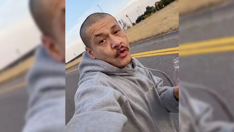 420Doggface208S Dreams Skateboarding Video — Clean screenshot from viral TikTok showing 420doggface208 skateboarding on freeway in daylight.