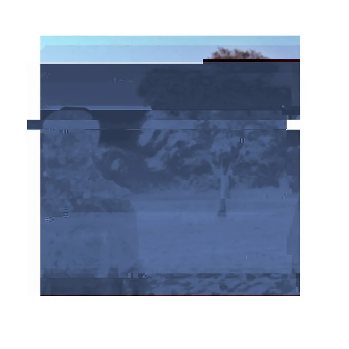 4Chan Alien Sighting Hoax — Heavily corrupted and pixelated alien figure with scan lines from infamous 4chan hoax post.