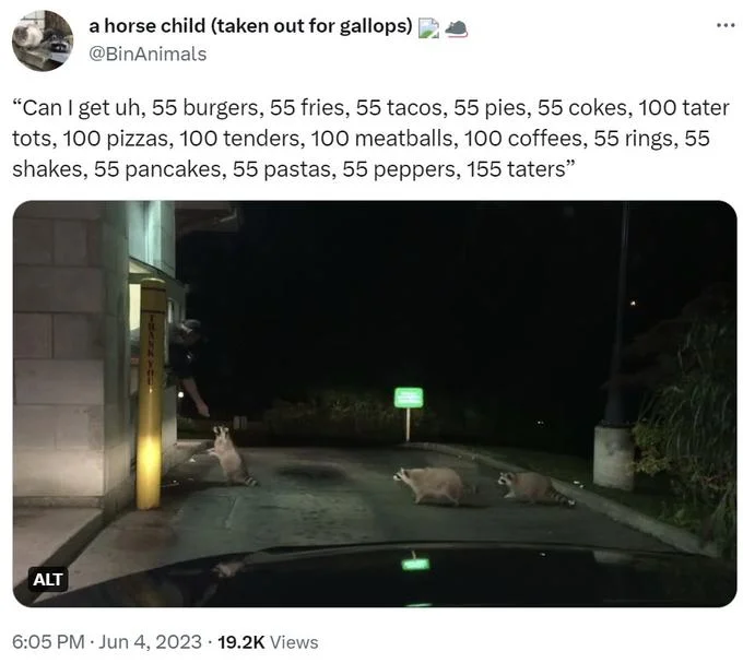 55 Burgers 55 Fries 55 Tacos 55 Pies — Twitter post with '55 Burgers' meme text used as humorous caption for horses photograph.