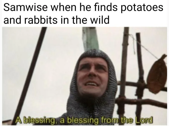 A Blessing From The Lord — Dual-panel comparison meme displaying the same Sir Lancelot blessing scene twice with different captions about dog food and medieval