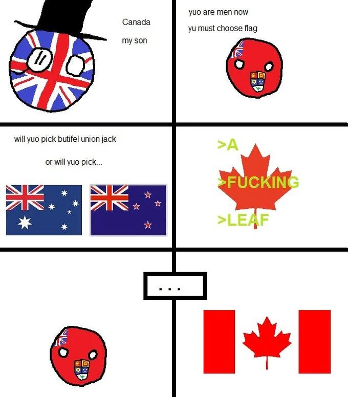 A multi-panel comparison meme showing flag choices across countries, with Canadian maple leaf labeled 'A FUCKING LEAF' in yellow text.