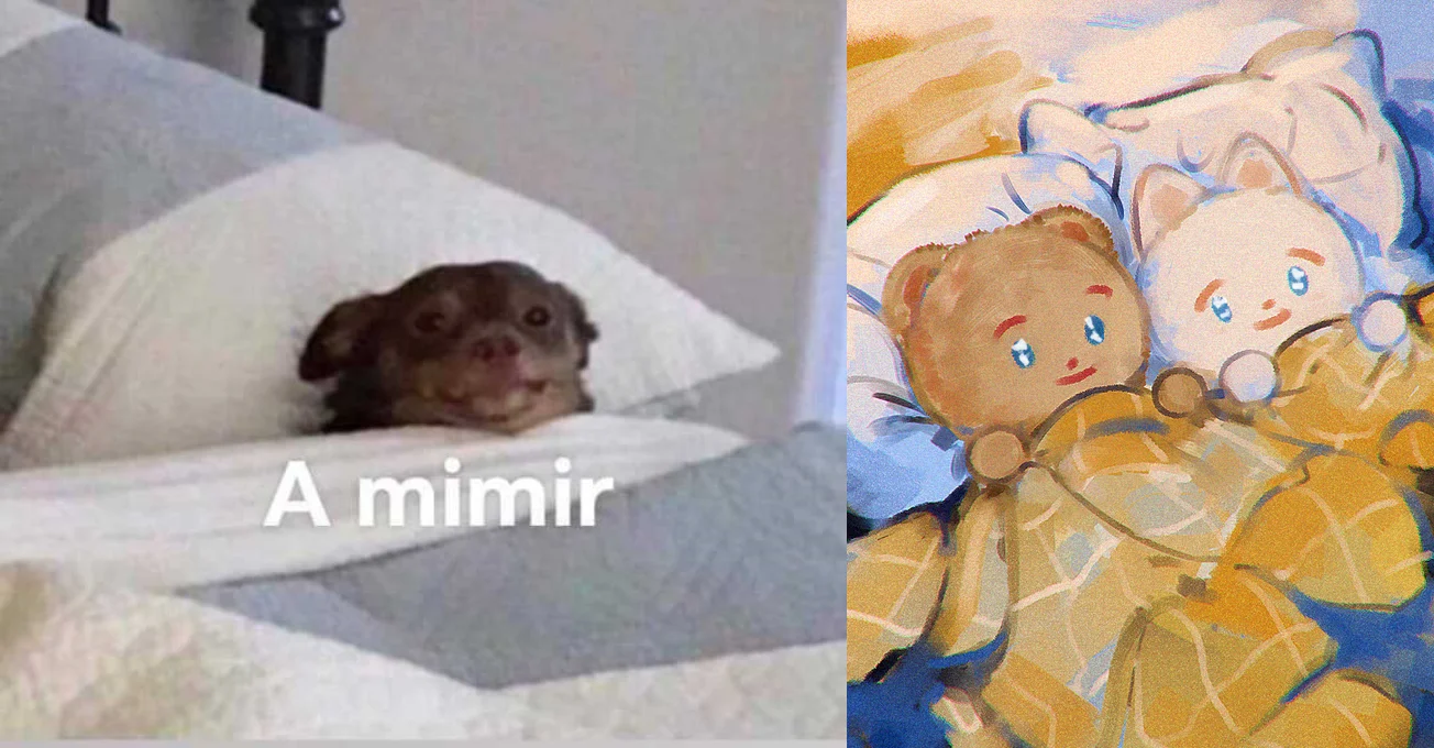 A Mimir Two Mimir — Split image of the A mimir chihuahua meme and Two mimir illustration of a bear and cat sleeping