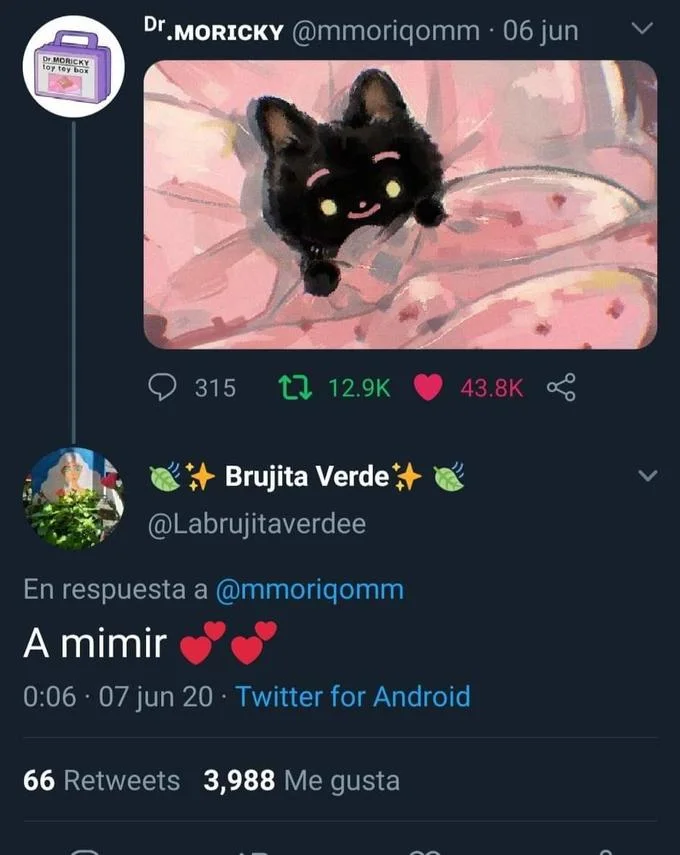 A Mimir Two Mimir — Twitter screenshot of Dr. Moricky's black cat illustration with 'A mimir' reply