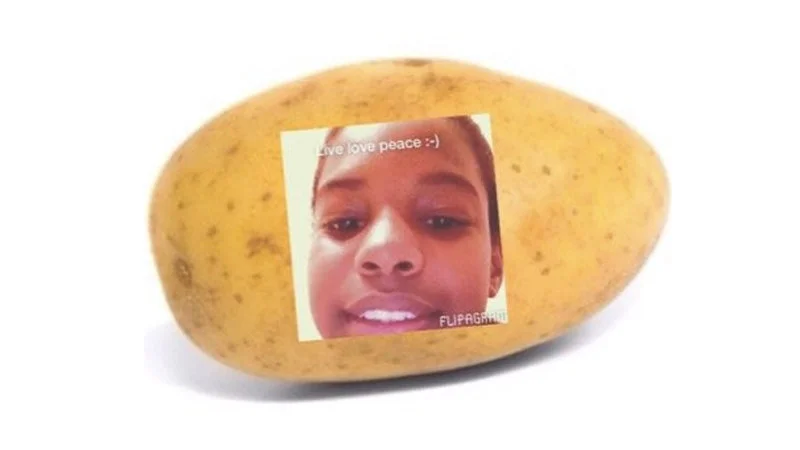 A Potato Flew Around My Room — A large potato photographed against a white background with an embedded rectangular photo of a smiling person's face, text