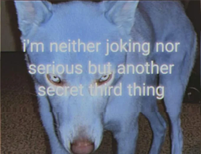 A Secret Third Thing — Blue-dyed dog staring at camera with caption 'i'm neither joking nor serious but another secret third thing'.
