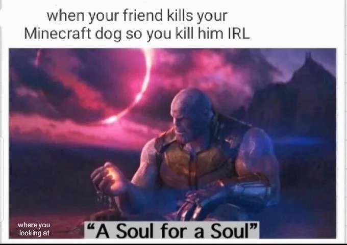 A Soul for a Soul meme about avenging a Minecraft dog in real life
