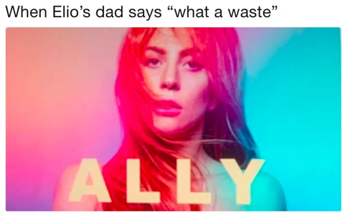 A Star Is Born Ally Poster — Ally meme captioned When Elio's dad says what a waste referencing Call Me By Your Name