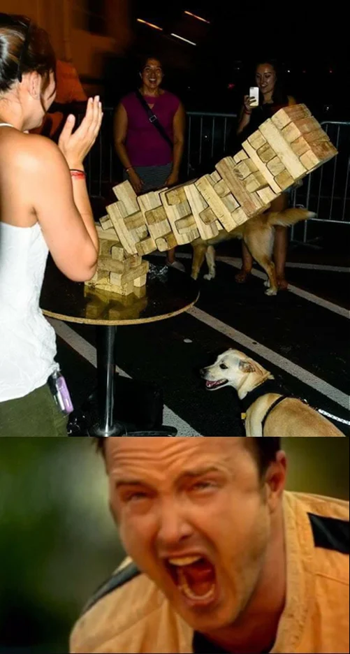 Dog knocking down giant Jenga tower paired with Aaron Paul screaming reaction
