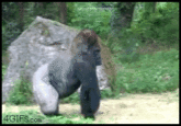 Abandon Thread — 4GIFS.con