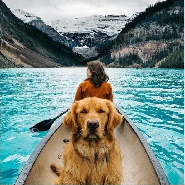 Accidental Wes Anderson — Woman and golden retriever in a canoe on Lake Louise