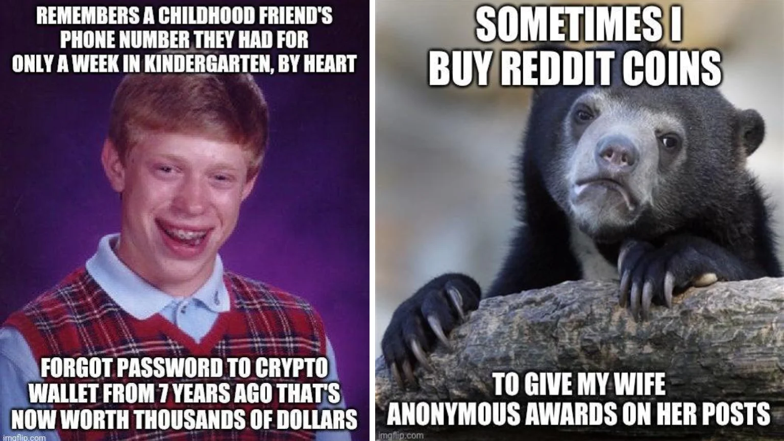 Advice Animals — Meme mixing human and animal characters commenting on cryptocurrency investments and spousal rewards.