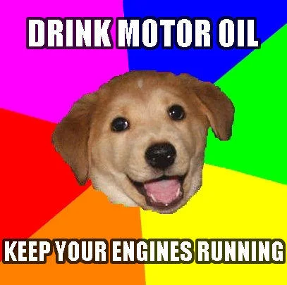 Yellow Labrador in standard Advice Dog format with bright background providing absurd social advice with sexual undertones.