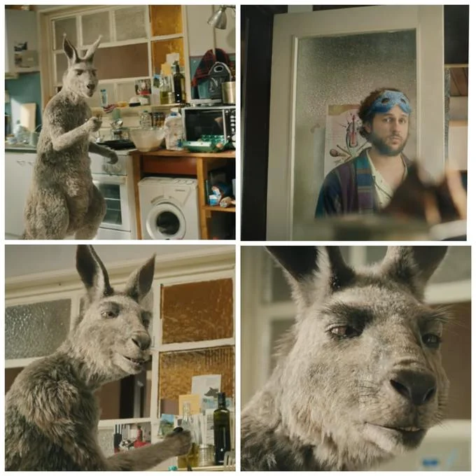 After That It Gets Difficult — Blank four-panel kangaroo meme template without captions.