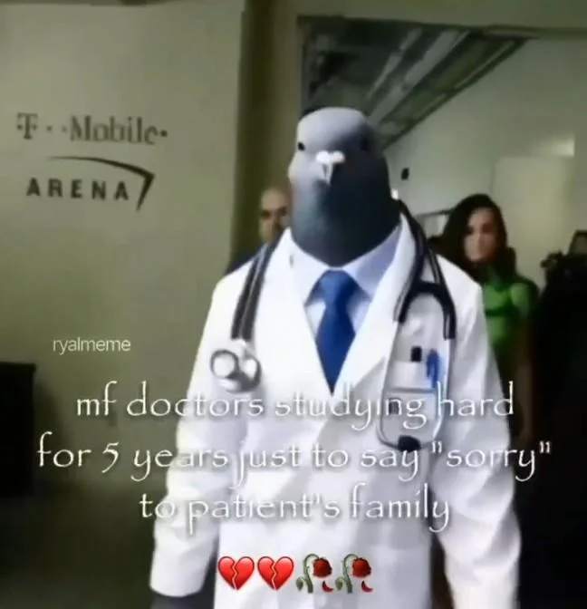 Ai Pigeon Doctor Walking Down Hallway — Meme variation of AI pigeon doctor with text joking about doctors studying years then apologizing to families, wearing