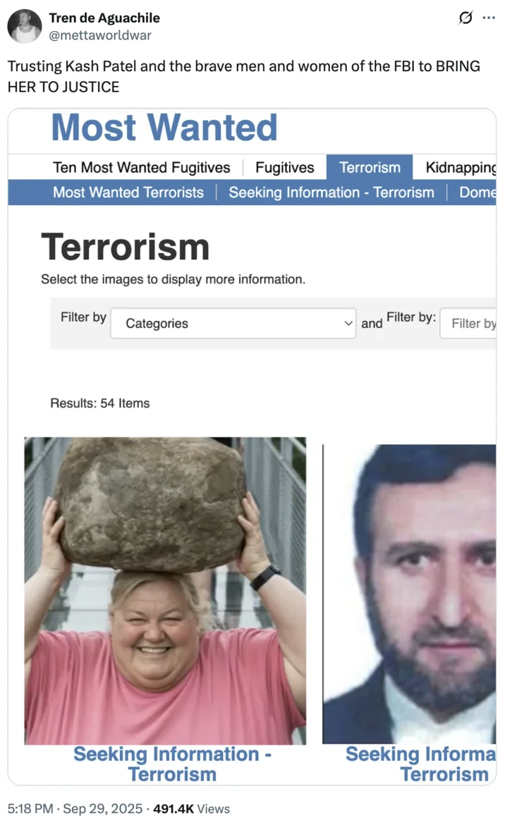 AI Slop — Social media screenshot of AI-generated woman holding rock on glass bridge