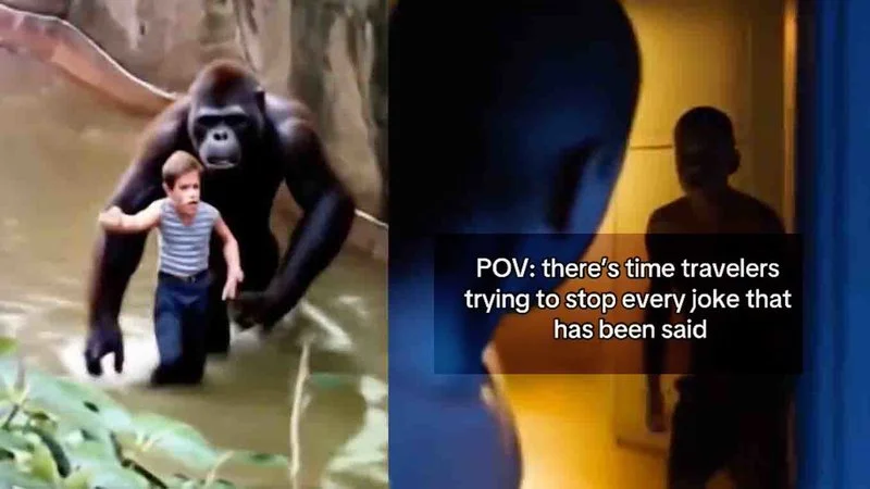 Ai Time Travelers Interrupting Memes — Split-screen meme with Harambe incident on left and mysterious silhouette on right with POV time traveler text overlay.