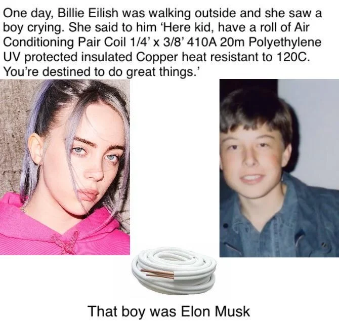 Albert Einstein Copypasta — Billie Eilish and young Elon Musk copypasta meme about air conditioning coil