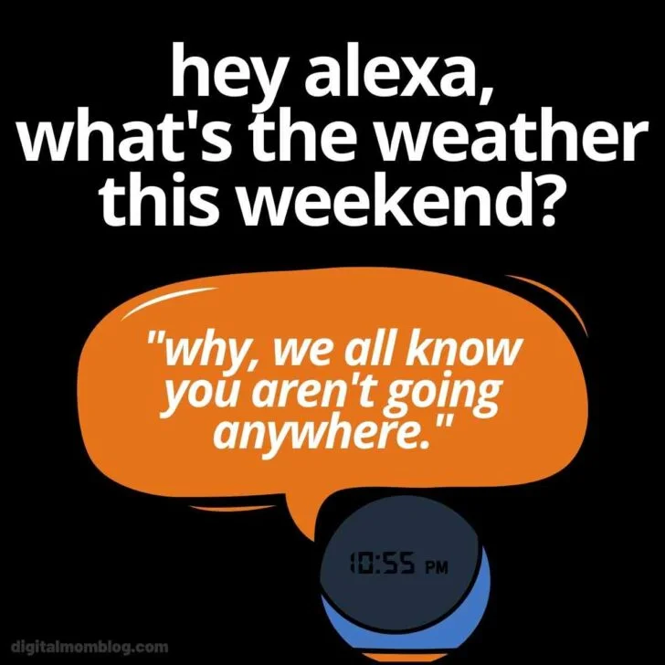 Alexa Wrong Command — Amazon Echo speaker with speech bubble saying "why, we all know you aren't going anywhere"