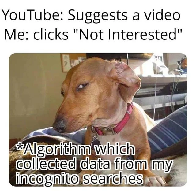 Algorithm Complaint — Dog meme frustrated with YouTube algorithm suggesting videos from private incognito history.