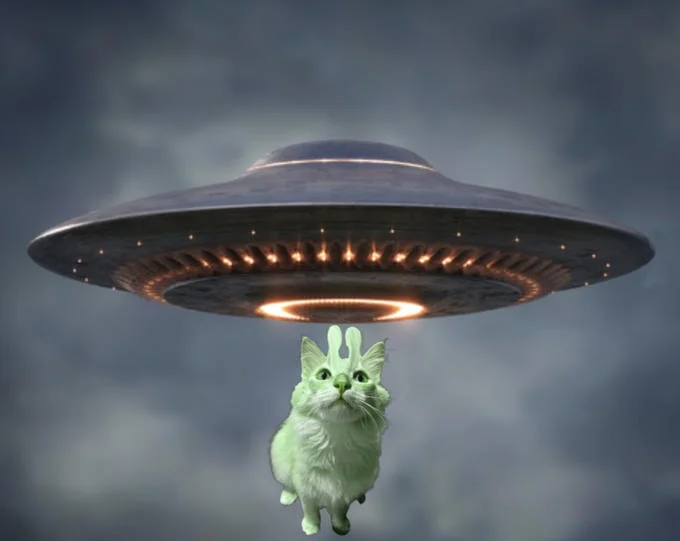 Alienposting Zeep Glorp — Tweet with fake alien-language dialogue paired with green alien cat and pug images
