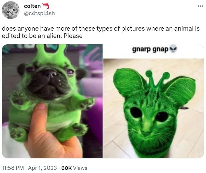 Alienposting Zeep Glorp — Tabby cat with large round ears captioned 'i'm all ears', the source image of the alien cat meme