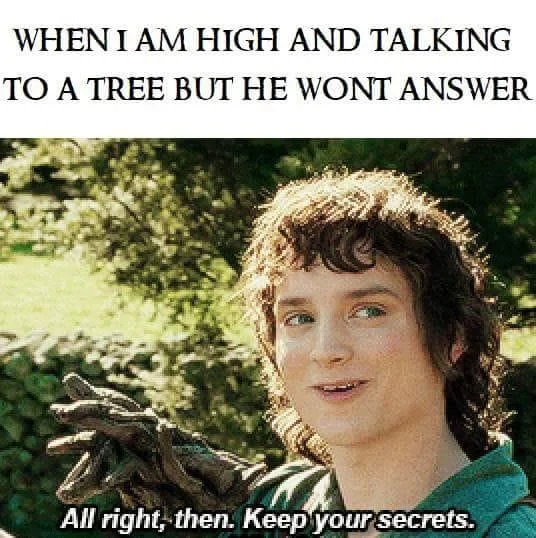 All Right Then Keep Your Secrets — Frodo 'keep your secrets' meme with caption about being high and talking to a tree