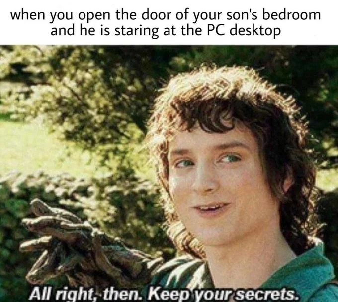 All Right Then Keep Your Secrets — Frodo 'keep your secrets' meme about a parent walking in on a teenage son at his PC