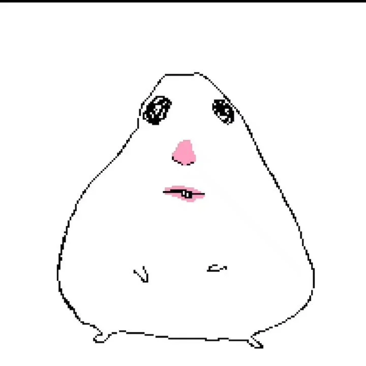 Hamster Drawing Memes
