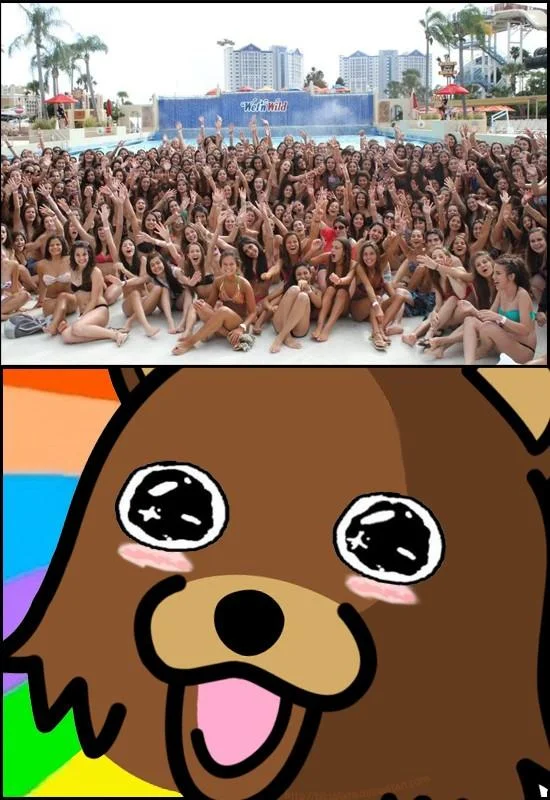 Pedobear with Amazed Face reacting to a pool party photo of many women